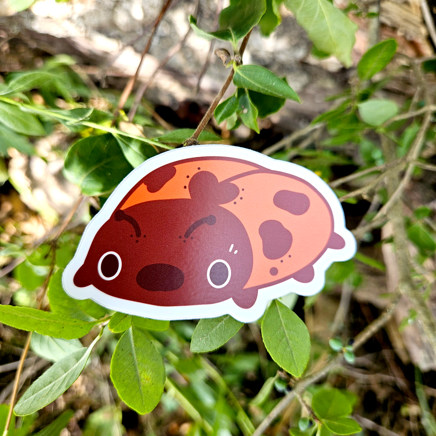 Ladybug - Mushroom Mail Sticker Design!