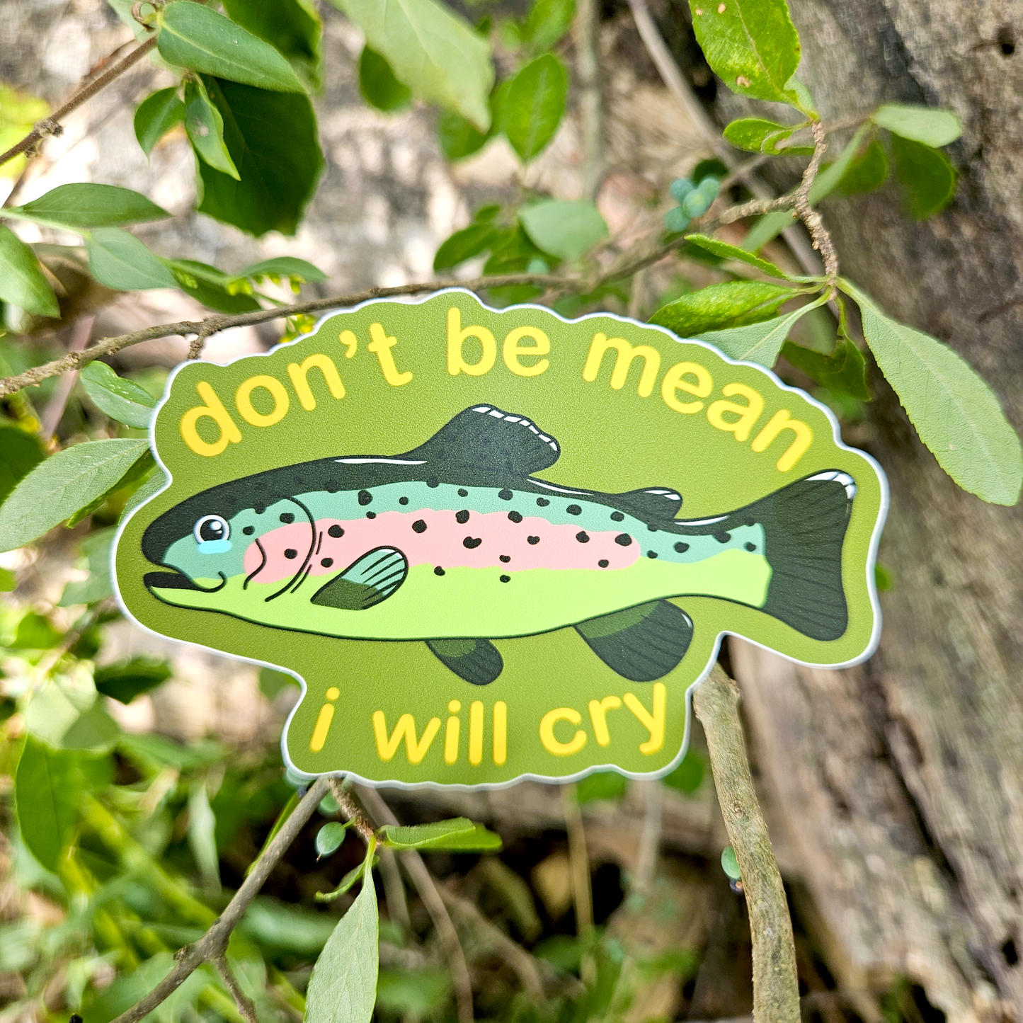 Rainbow Trout "Don't be Mean I'll Cry" Sticker